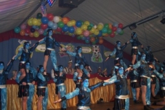 fruehschoppen-2012_302