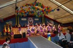 SONY DSC