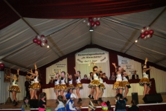SONY DSC