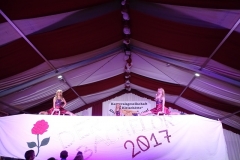 Fruehschoppen_358