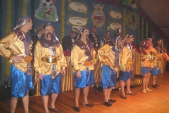 kostuemsitzung2011_233