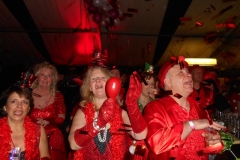 Party_Rot_2016_008