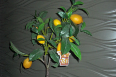 PRINSENRECEPTIE_KEMPERNAAZE_26_034