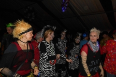 Rosenmontag_2016_017