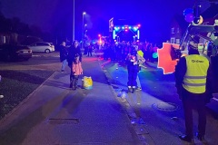 ROSENMONTAGZUG_43